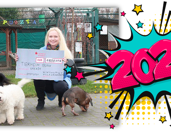 Neujahrs-Aktion: Spende für Tiere in Not