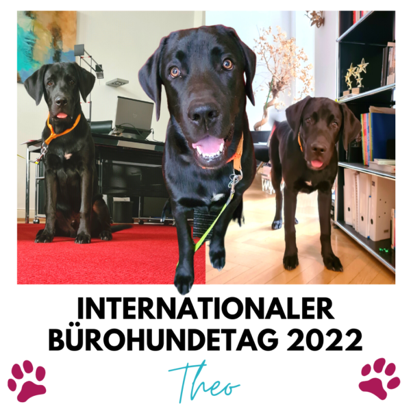 Internationaler Bürohundetag 2022 mit unserem Bürohund Theo
