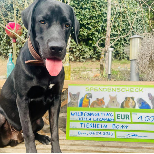Neujahrs-Spende für die Hunde des Tierheims Bonn