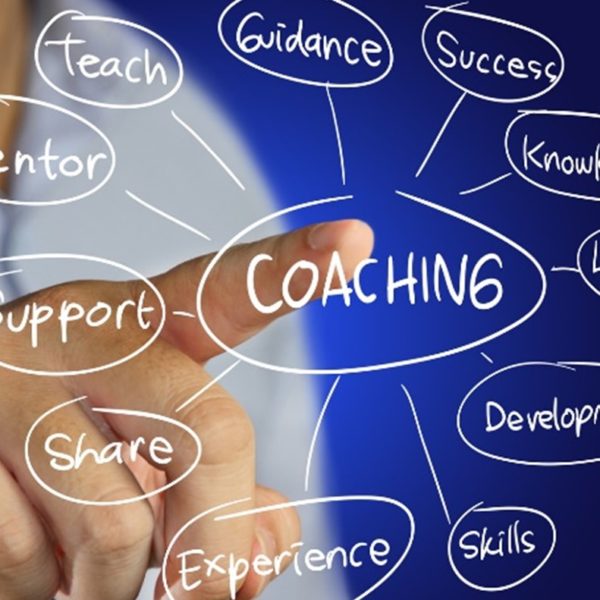 Aktuelle wissenschaftliche Studie: Faszinierende Insights zur Ausbildung zum geprüften Business Coach (BDVT & WCTC)